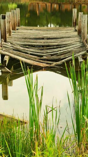 泸州网站建设截图2