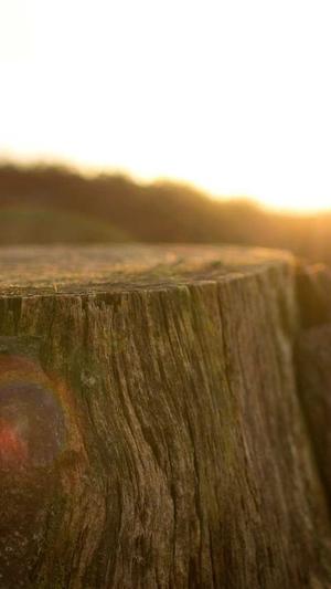 seo排名工具哪家好截图1