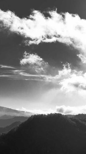 seo泛目录怎么用截图1