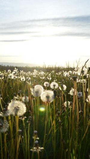 红蜘蛛池网是什么截图1