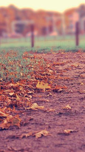 网站建设方案截图1