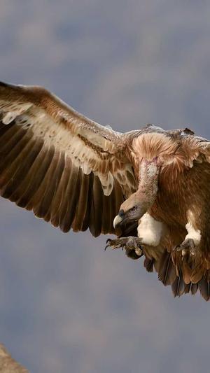 蜘蛛池出租价格合理嘛截图2