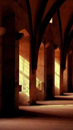 蜘蛛池出租靠谱截图4