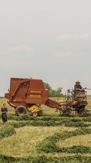 B2B2C网站建设截图2