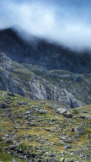 站长工具seo截图2