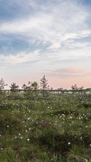 网站建设项目截图5