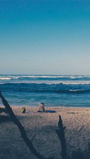 广东蜘蛛池租用截图3