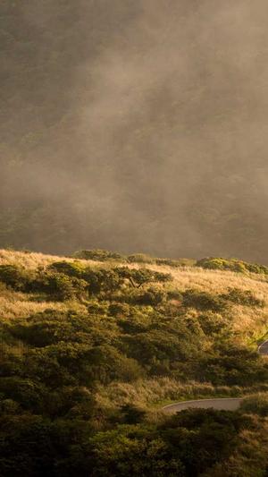 长沙网站建设价格截图4