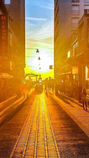 福州网站建设制作截图1