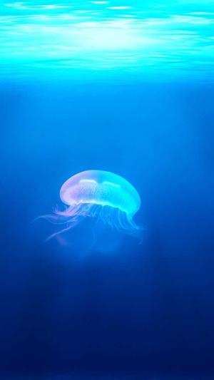 蜘蛛池秒排截图1