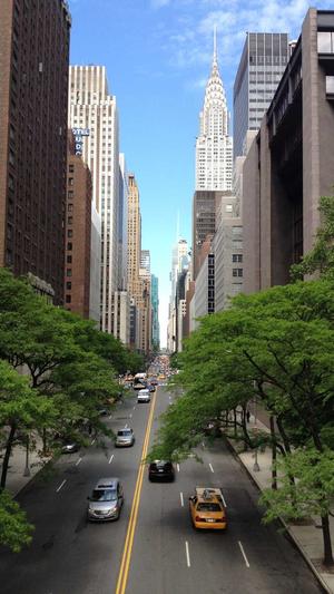 郑州高端网站建设公司截图1