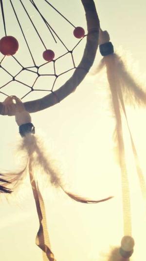 搜狗泛目录霸屏站群截图3