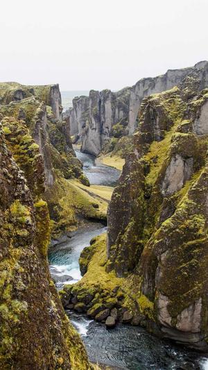 蜘蛛seo超级工具截图5