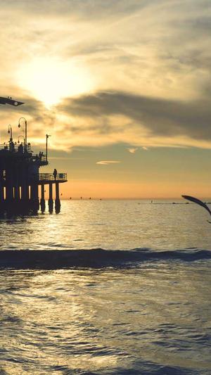 泸州网站建设截图3