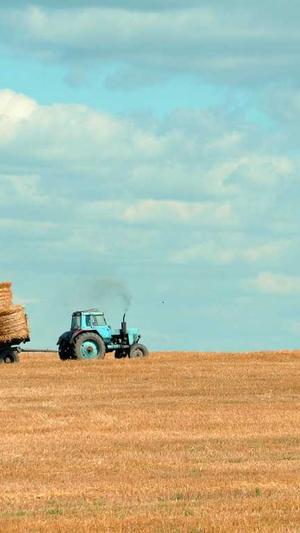 百度seo网站优化截图2