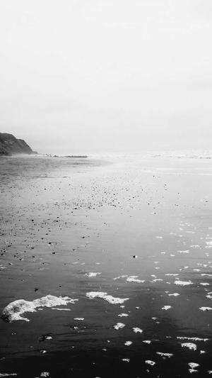 站长工具seo查询搜狗截图3