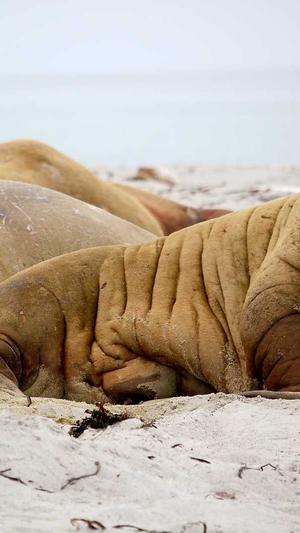 公司网站建设方案截图2