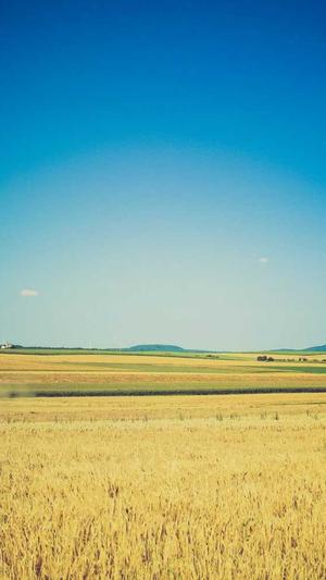 搜狗收录蜘蛛池泛目录截图4