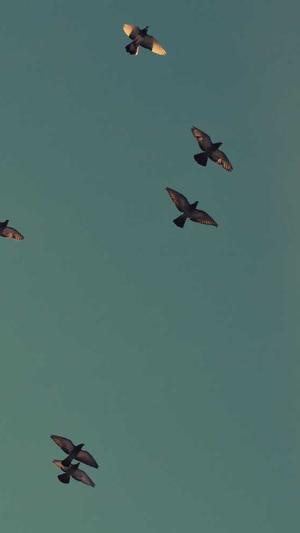 海淀网站建设截图2