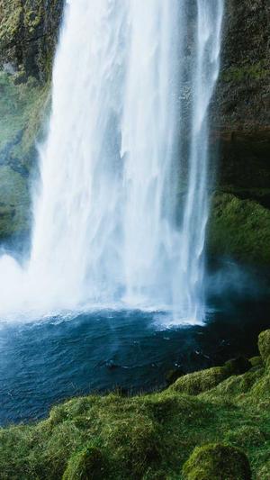 蜘蛛池搭建图解步骤截图2
