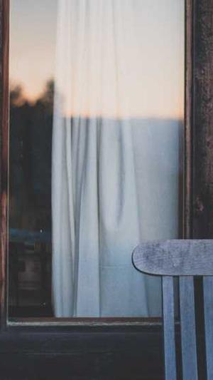 谷歌蜘蛛池教程下载截图4