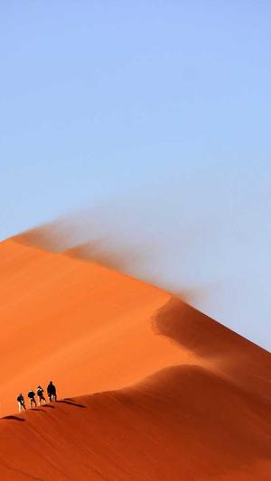 百度蜘蛛池终极版截图1