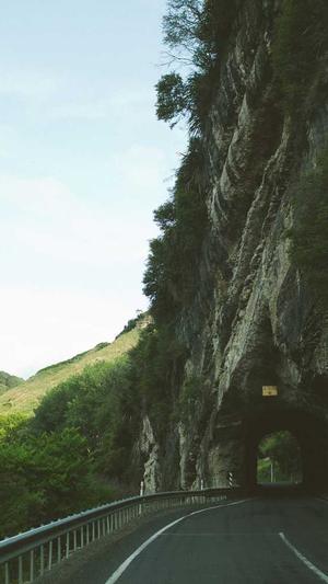 小旋风蜘蛛池模板图片截图4