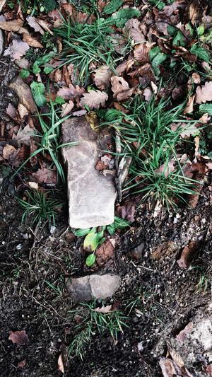 seo推广优化公司截图3