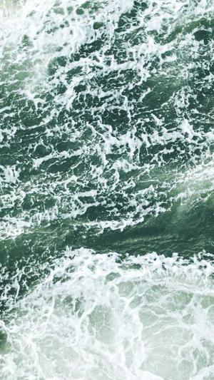 网站建设软件截图1