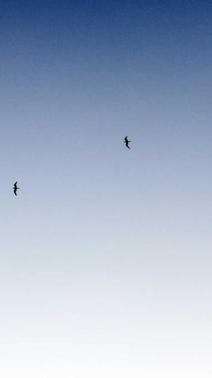 重庆seo公司截图3