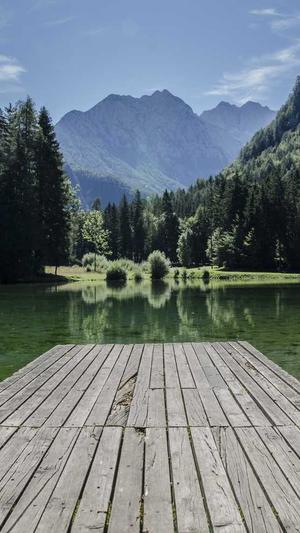 泛目录网站搭建截图3