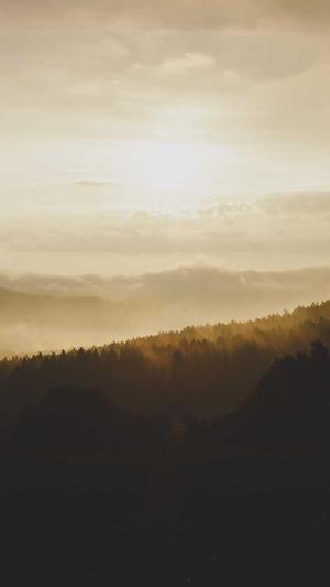 seo排名优化工具截图1