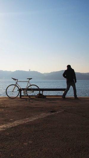 蜘蛛池源码截图2