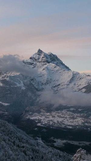 企业如何网站建设截图1