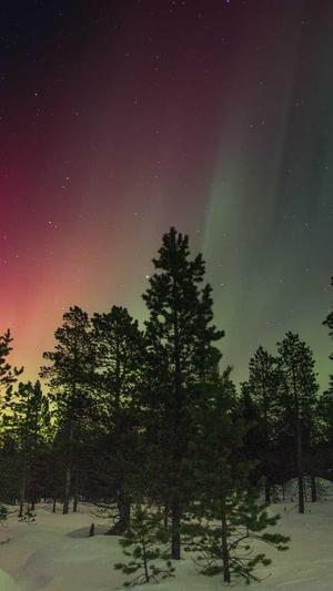 南昌seo推广截图1