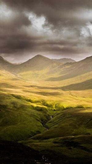 泛目录站群效果怎么样截图1