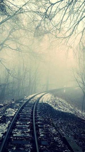 泛目录站群效果怎么样截图3