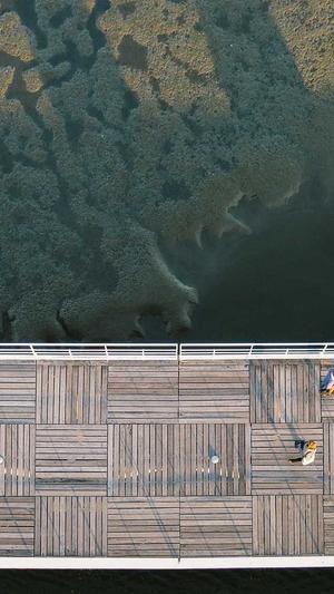 苏州旺道seo截图2