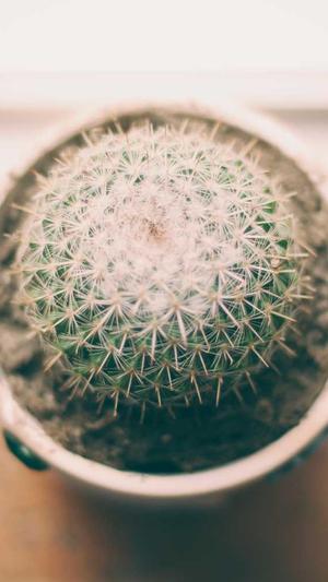 佛山网站建设截图5