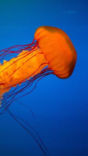 台州网站建设公司截图2