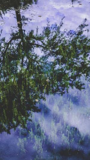 2020泛目录程序截图5