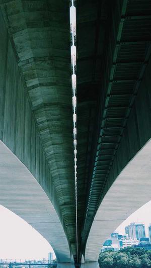 泛目录源码xml截图1