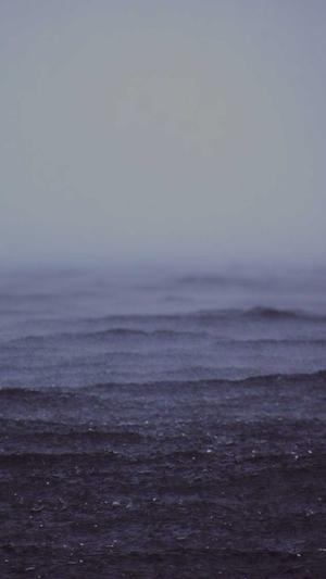 室内蜘蛛池有用吗截图2