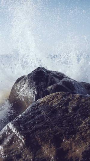 seo泛目录选择旺客专家好截图5