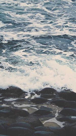 郑州高端网站建设公司截图5