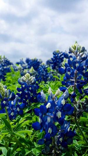 seo培训教程蜘蛛池截图4