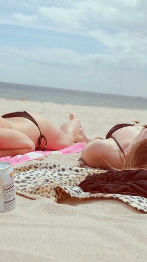 seo的优化工具截图3