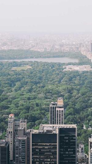 黑帽seo泛目录截图3