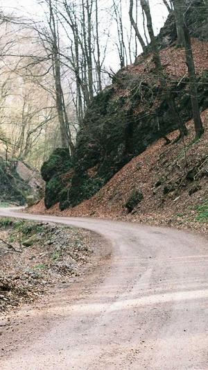 搜狗收录蜘蛛池泛目录截图5