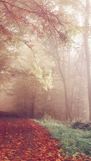 seo怎么优化截图4